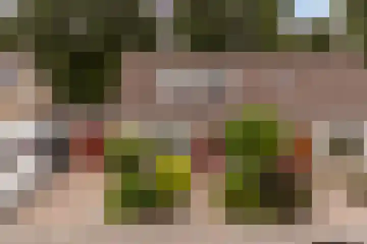 De Zwaan 8 Dokkum thumbnail 49