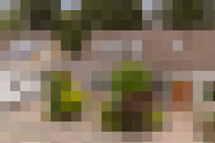 De Zwaan 8 Dokkum thumbnail 50