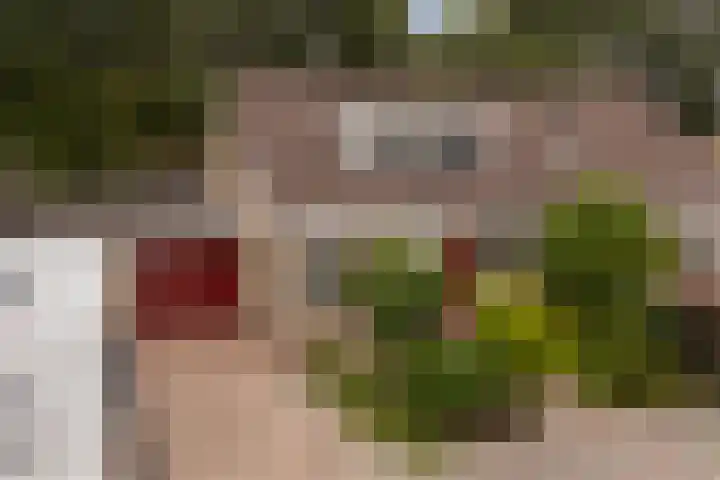 De Zwaan 8 Dokkum thumbnail 51