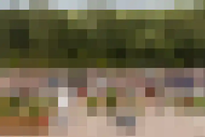 De Zwaan 8 Dokkum thumbnail 52