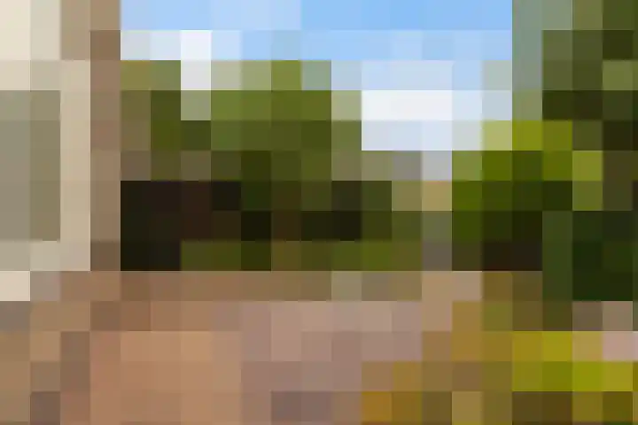 De Zwaan 8 Dokkum thumbnail 7