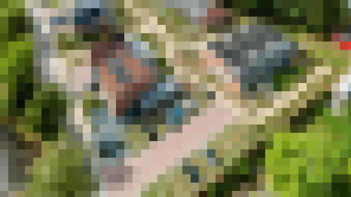 De Zwaanhof 43 Apeldoorn thumbnail 35