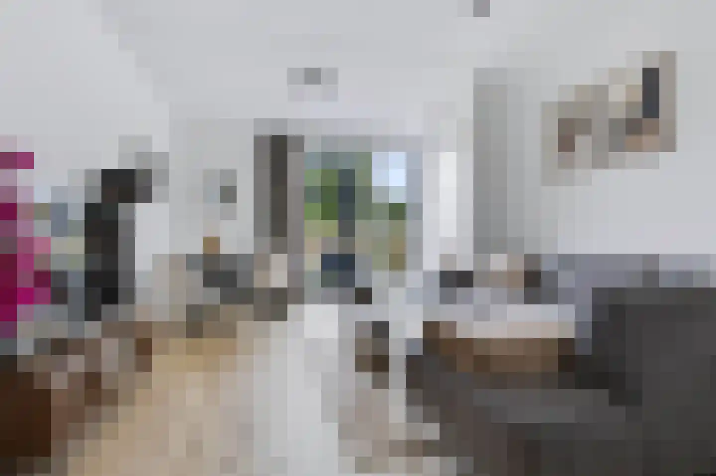 De Zwaanhof 43 Apeldoorn thumbnail 7