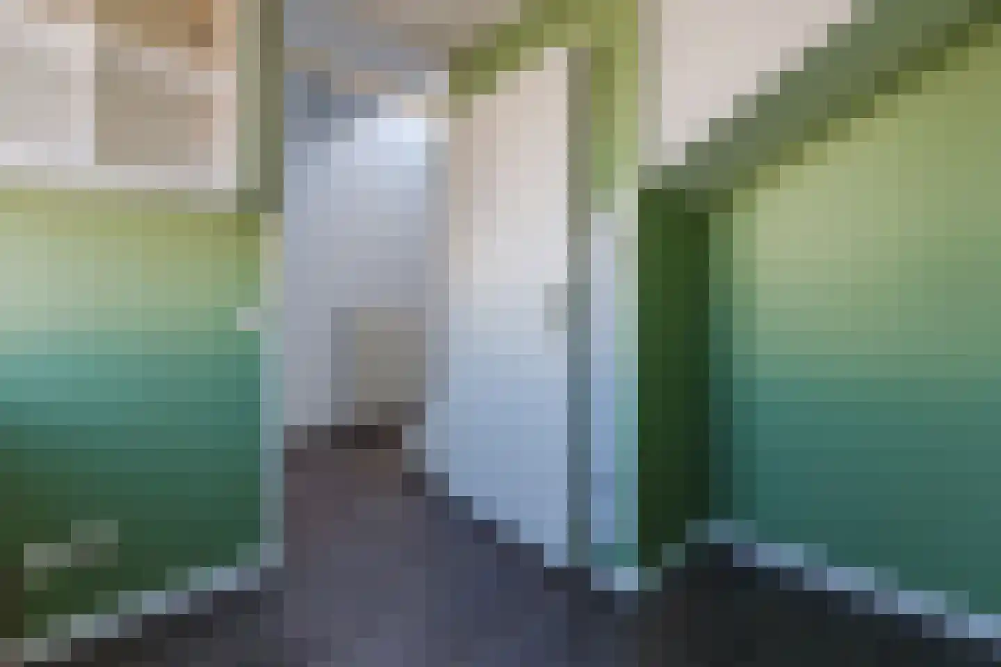 de Zwaanstraat 18 E Wijk aan Zee thumbnail 24