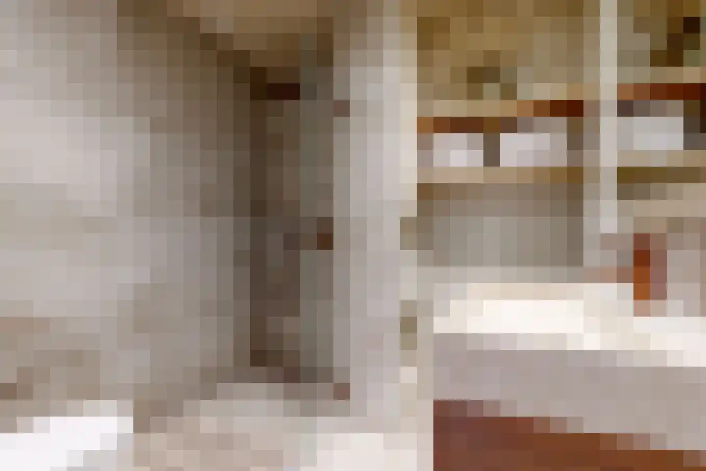 de Zwaanstraat 20 B Wijk aan Zee thumbnail 19