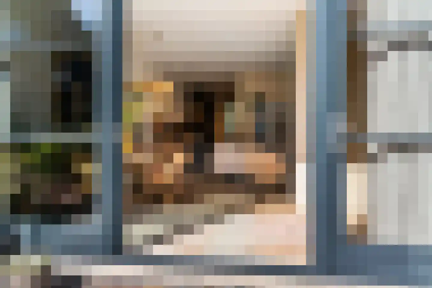 de Zwaanstraat 20 B Wijk aan Zee thumbnail 28