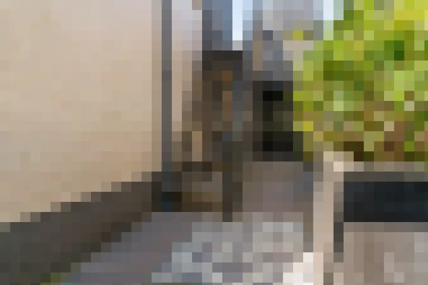 de Zwaanstraat 20 B Wijk aan Zee thumbnail 29