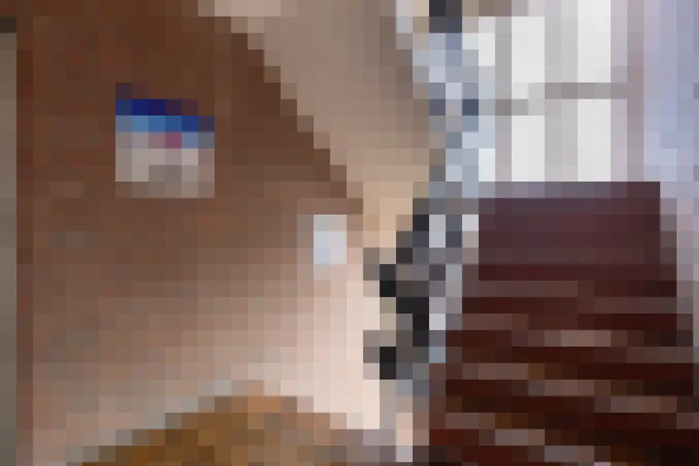 de Zwaanstraat 50 Wijk aan Zee thumbnail 17