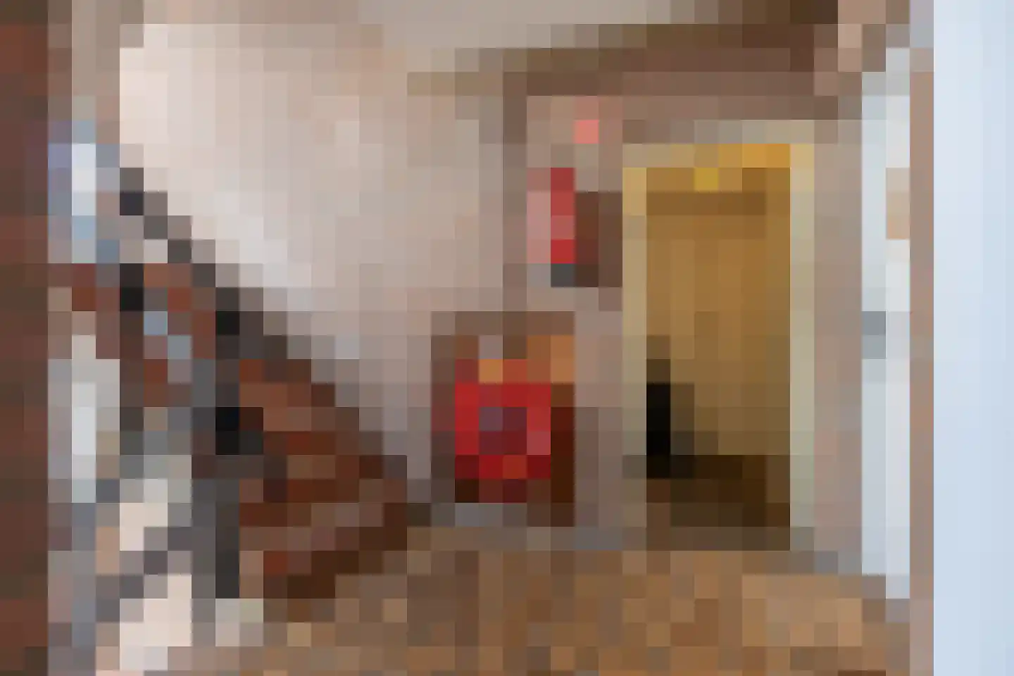 de Zwaanstraat 50 Wijk aan Zee thumbnail 18