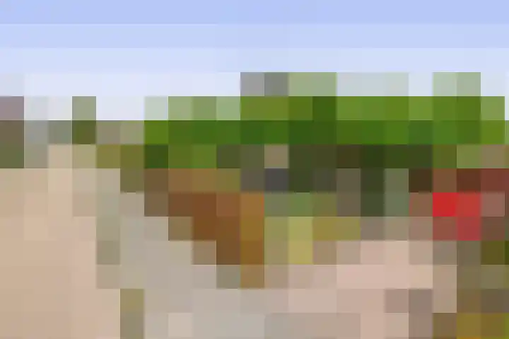 De Zwaden 22 Drachten thumbnail 37
