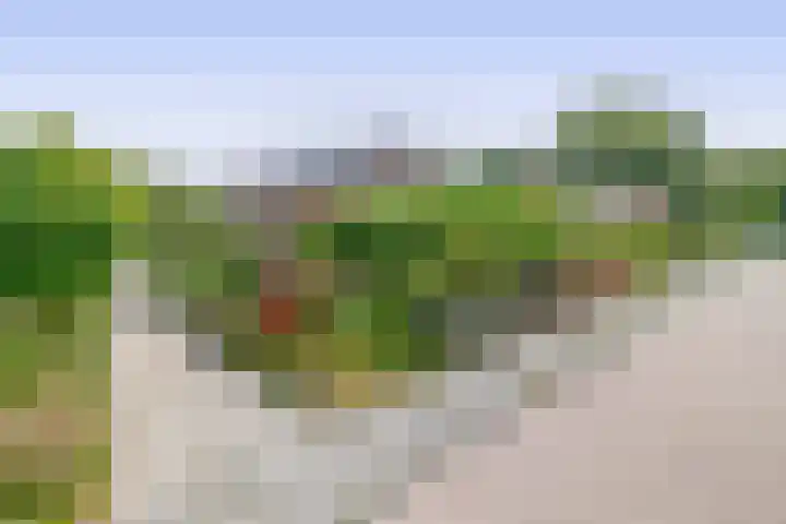 De Zwaden 22 Drachten thumbnail 38