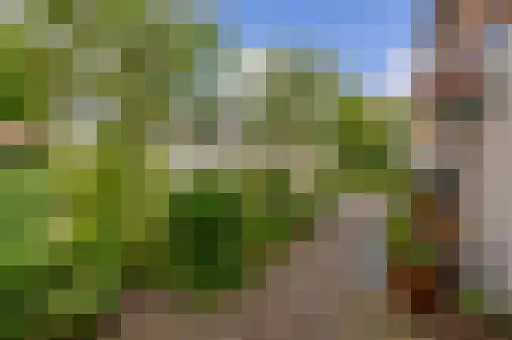De Zwaden 22 Drachten thumbnail 39
