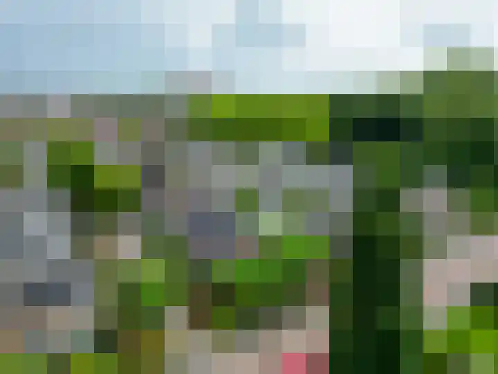 De Zwaden 22 Drachten thumbnail 42