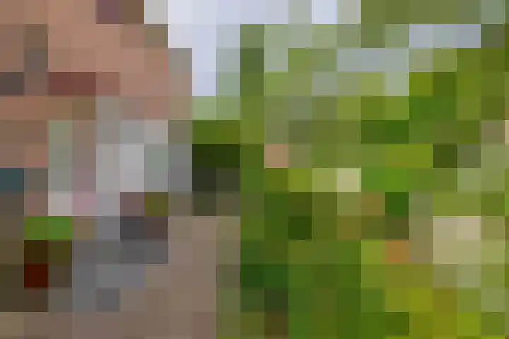 De Zwaden 22 Drachten thumbnail 5