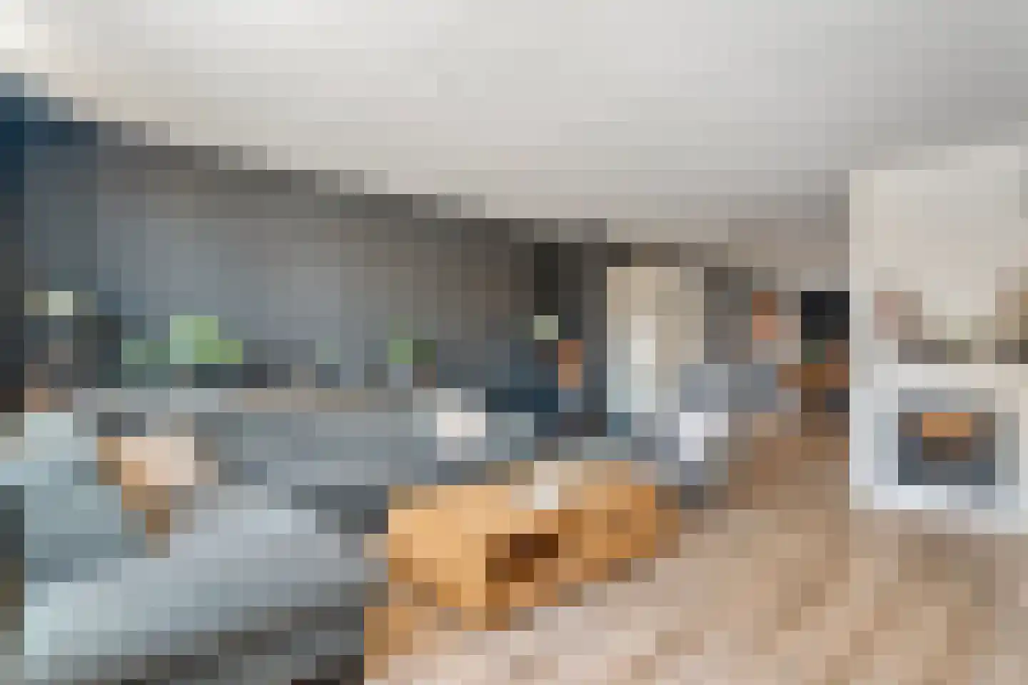 De Zwaluw 20 Almelo thumbnail 10