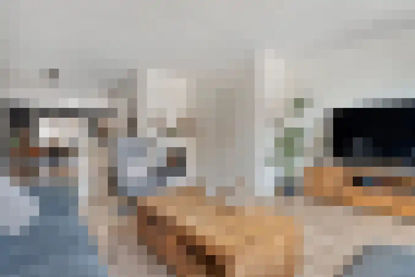 De Zwaluw 20 Almelo thumbnail 11