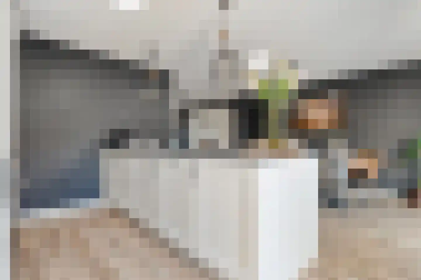 De Zwaluw 20 Almelo thumbnail 20