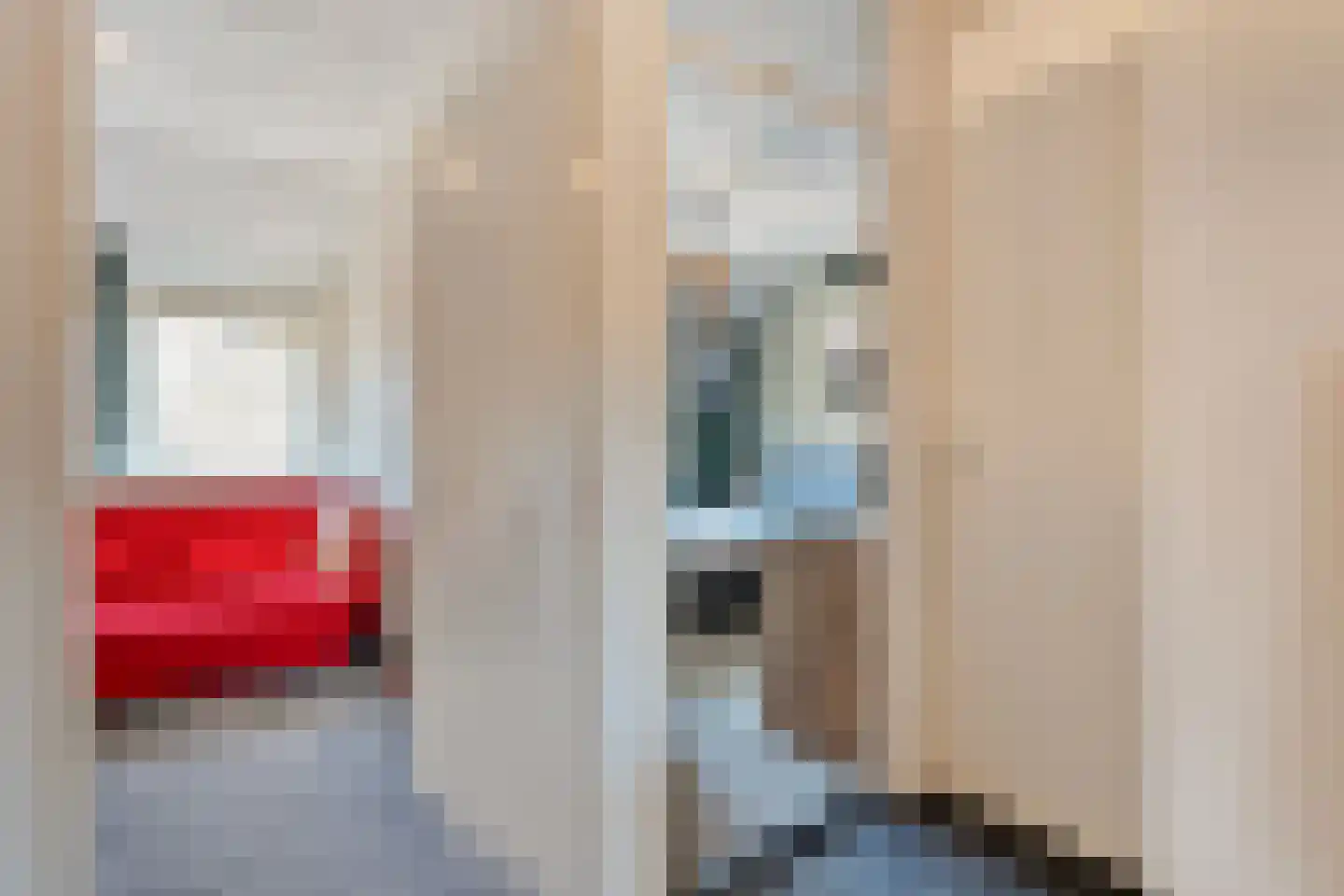 De Zwaluw 20 Almelo thumbnail 27