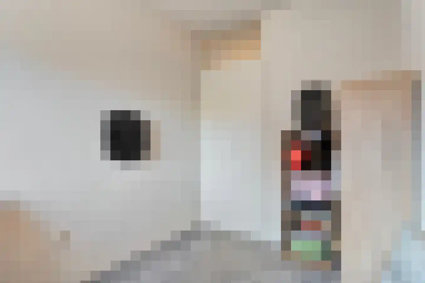 De Zwaluw 20 Almelo thumbnail 31
