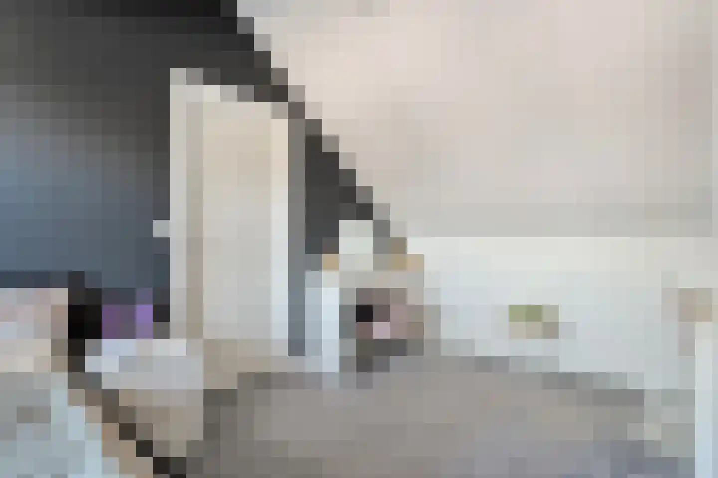 De Zwaluw 20 Almelo thumbnail 42
