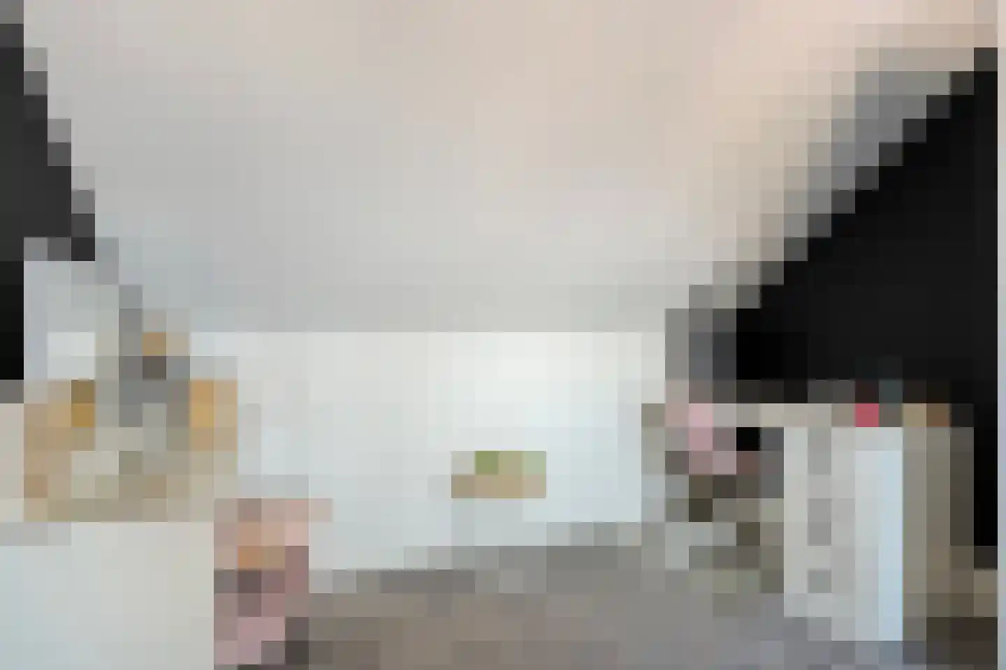 De Zwaluw 20 Almelo thumbnail 44