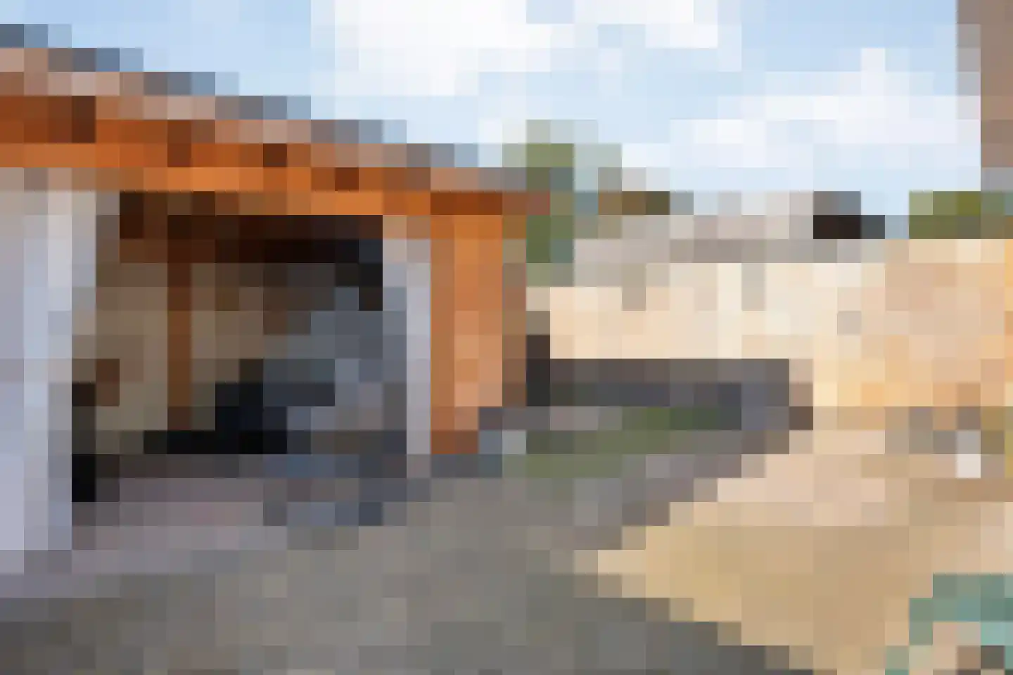 De Zwaluw 20 Almelo thumbnail 45