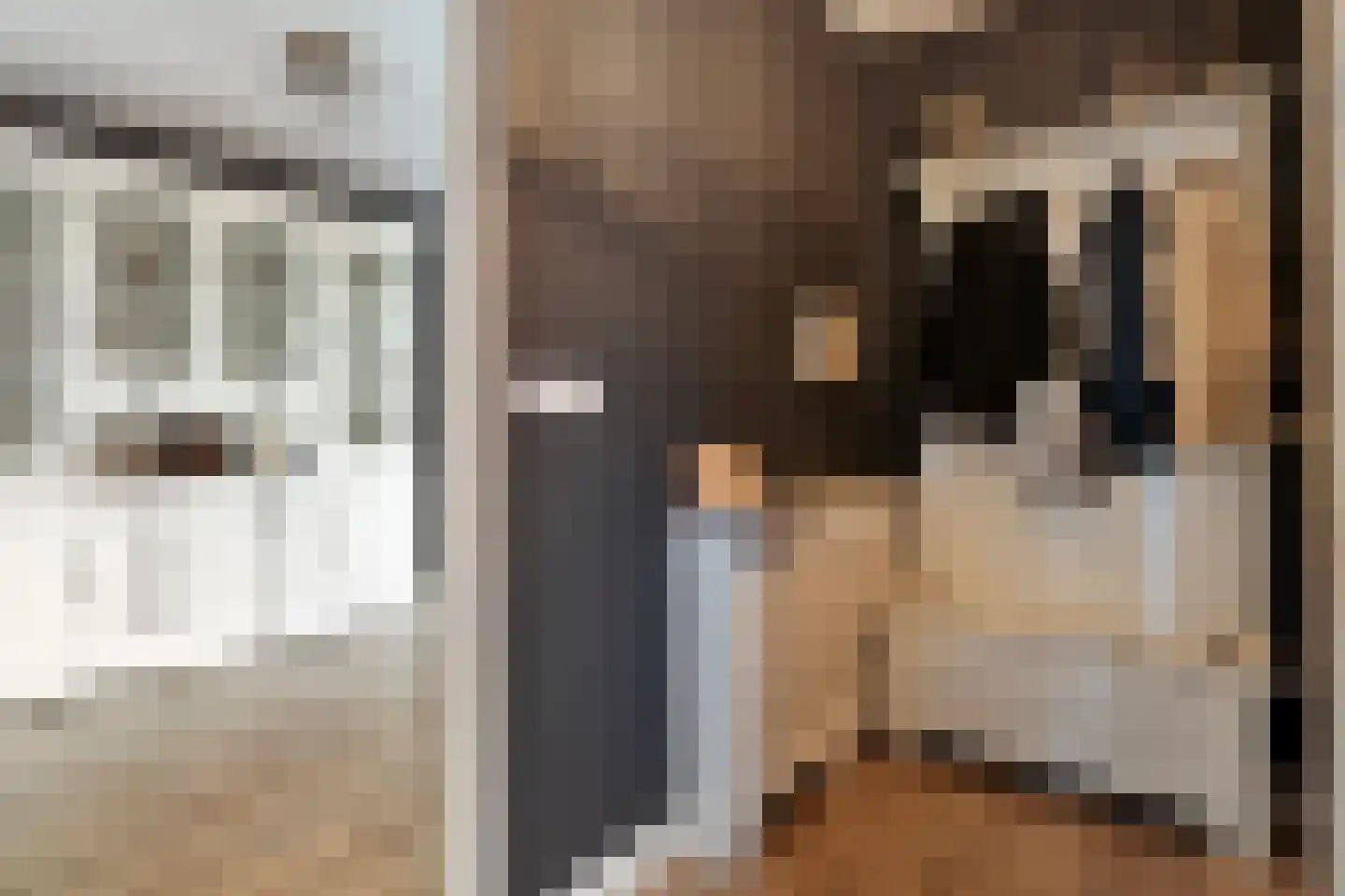 De Zwaluw 20 Almelo thumbnail 5