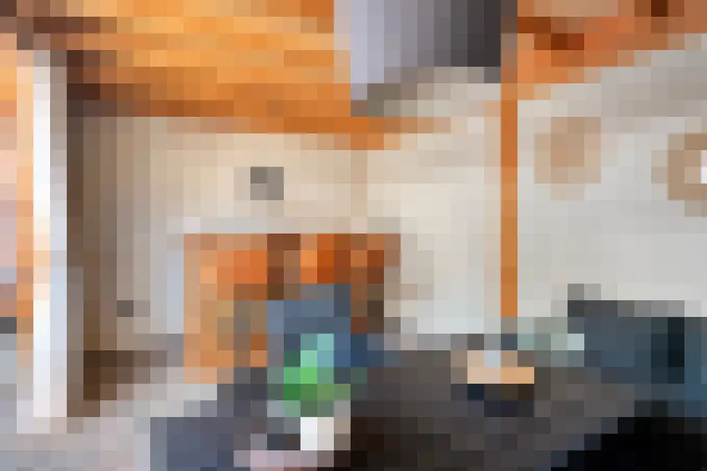 De Zwaluw 20 Almelo thumbnail 51