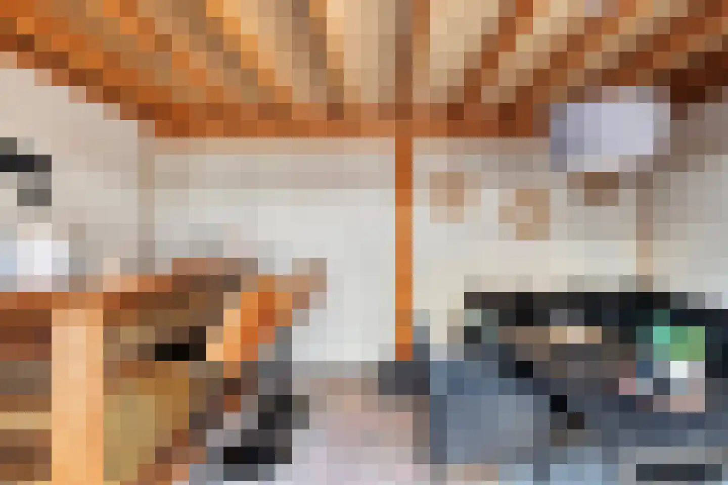 De Zwaluw 20 Almelo thumbnail 53