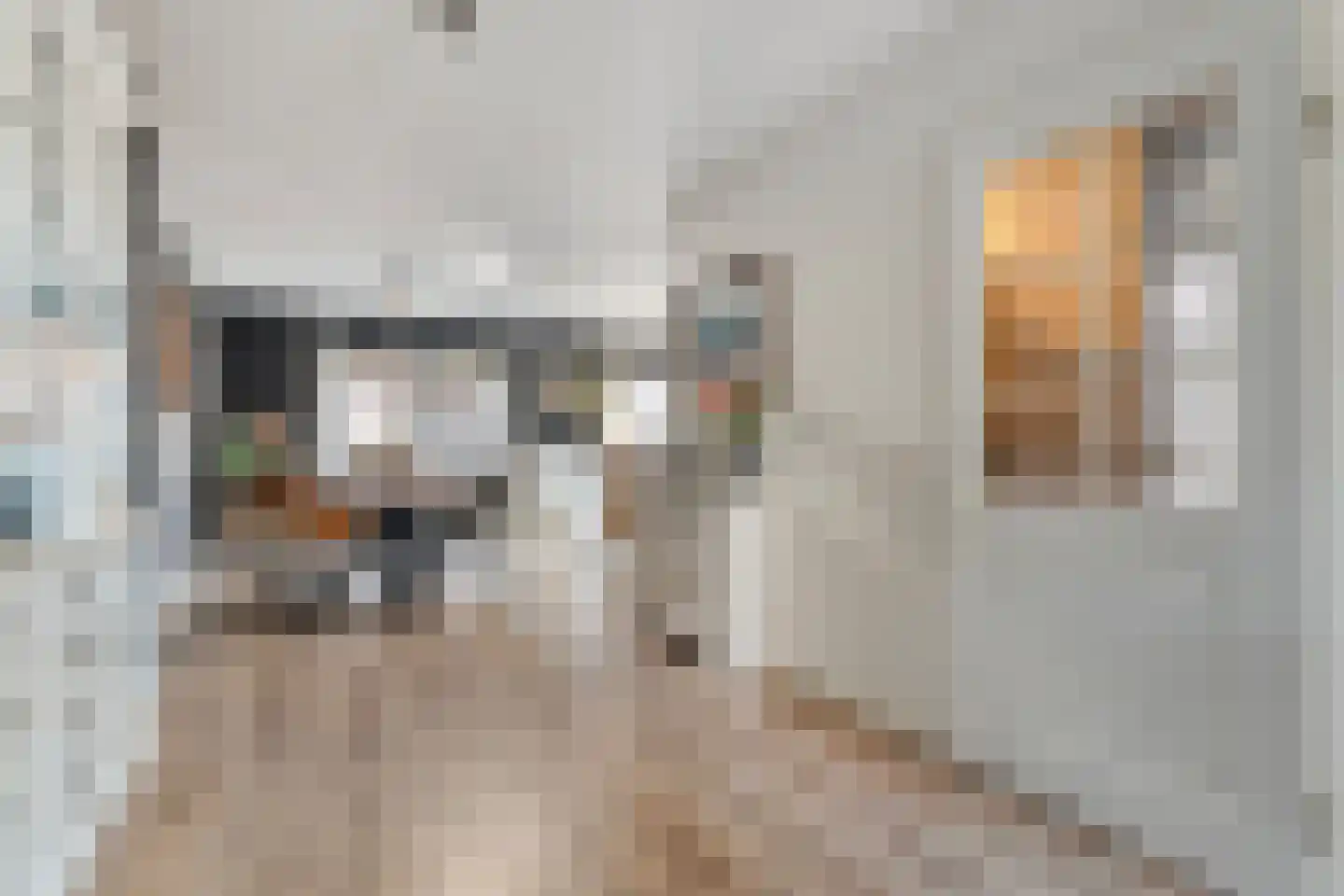De Zwaluw 20 Almelo thumbnail 6
