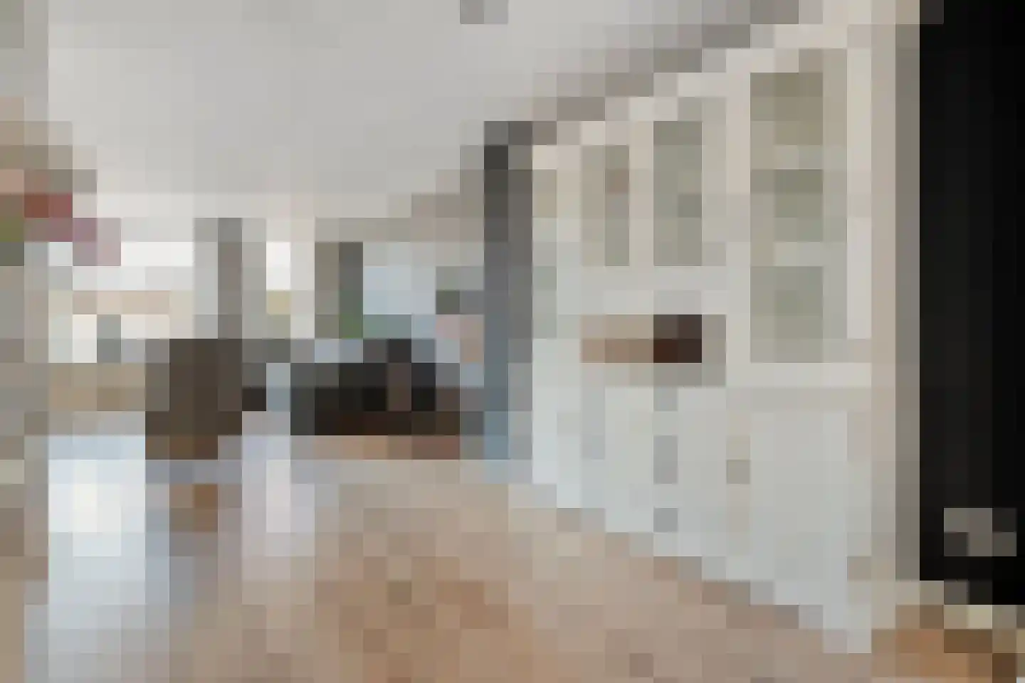 De Zwaluw 20 Almelo thumbnail 7
