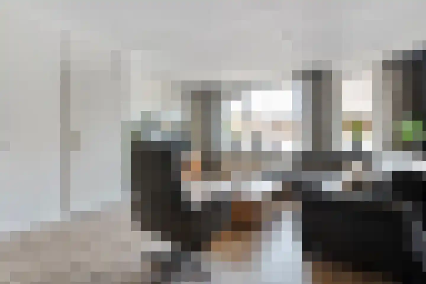 De Zwaluw 20 Almelo thumbnail 8