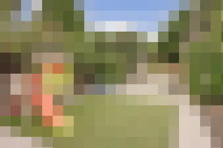 De Zwaluw 52 Almelo thumbnail 24