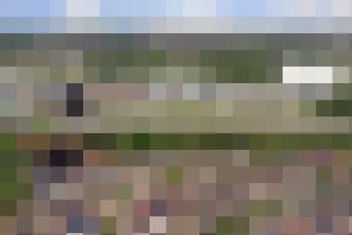De Zwaluw 52 Almelo thumbnail 31