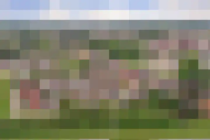 De Zwaluw 52 Almelo thumbnail 32