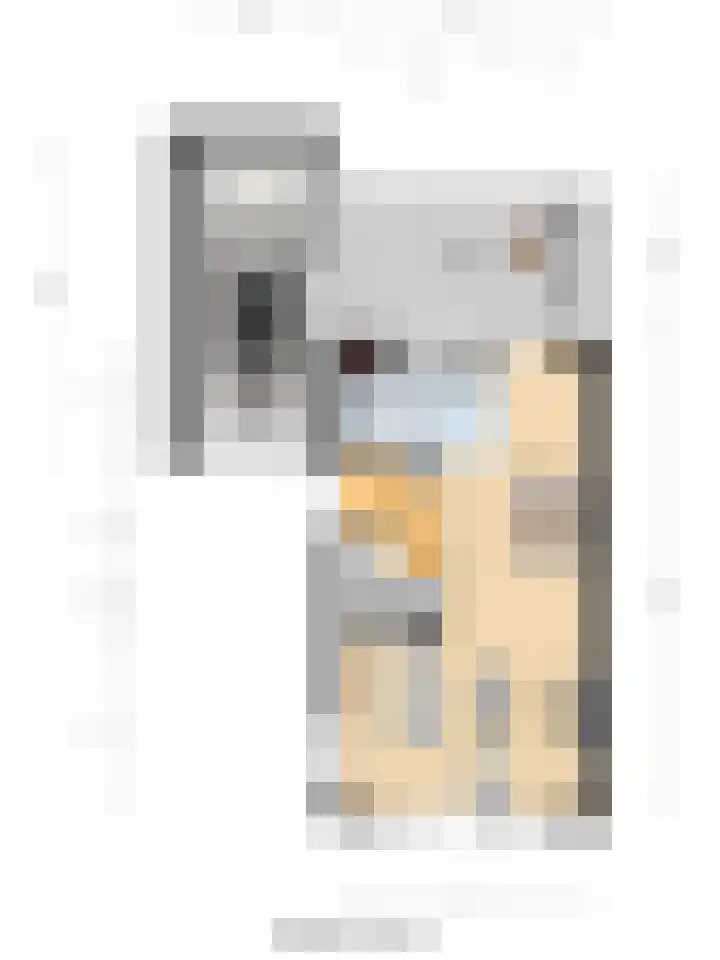 De Zwaluw 52 Almelo thumbnail 34