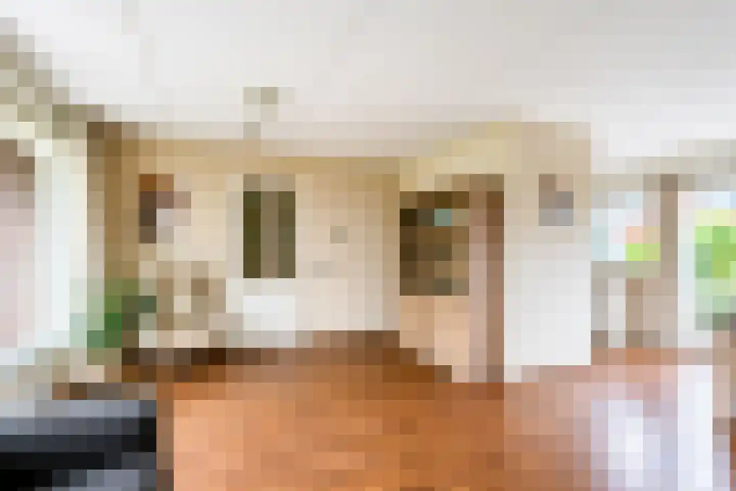 De Zwarte Arend 1 Venhuizen thumbnail 10