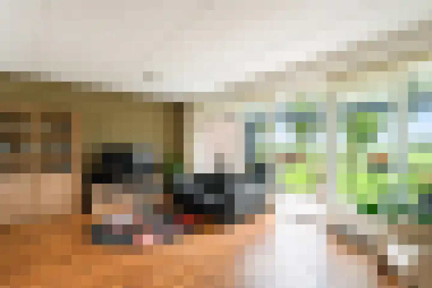 De Zwarte Arend 1 Venhuizen thumbnail 6