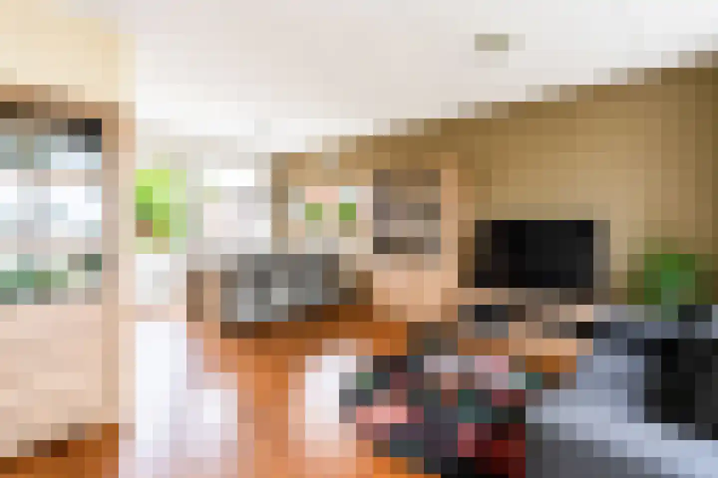 De Zwarte Arend 1 Venhuizen thumbnail 8
