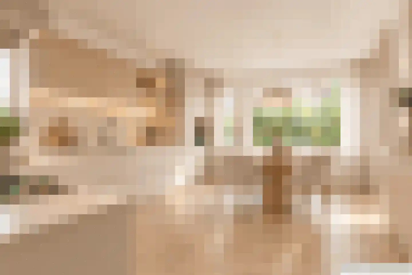 De Zwarte Arend 2 Venhuizen thumbnail 17