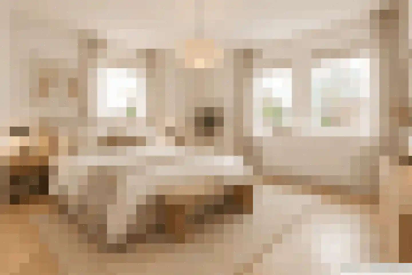 De Zwarte Arend 2 Venhuizen thumbnail 23