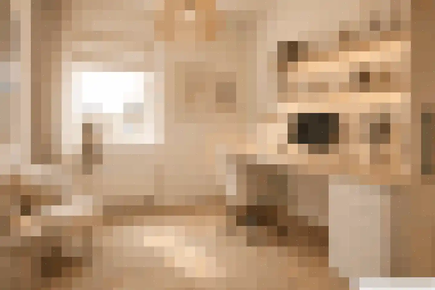 De Zwarte Arend 2 Venhuizen thumbnail 26