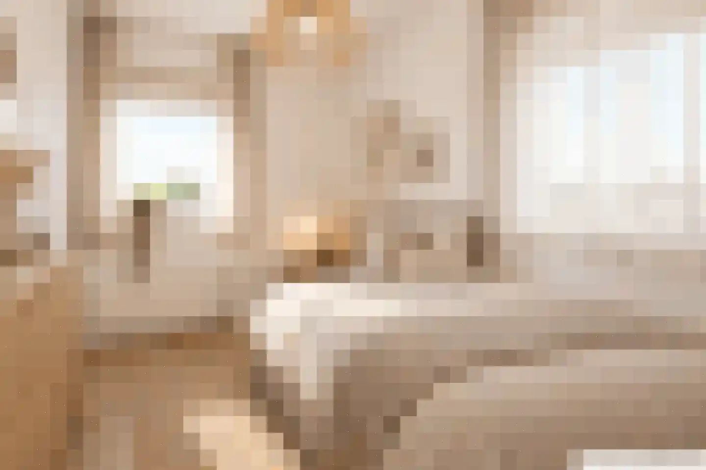 De Zwarte Arend 2 Venhuizen thumbnail 30