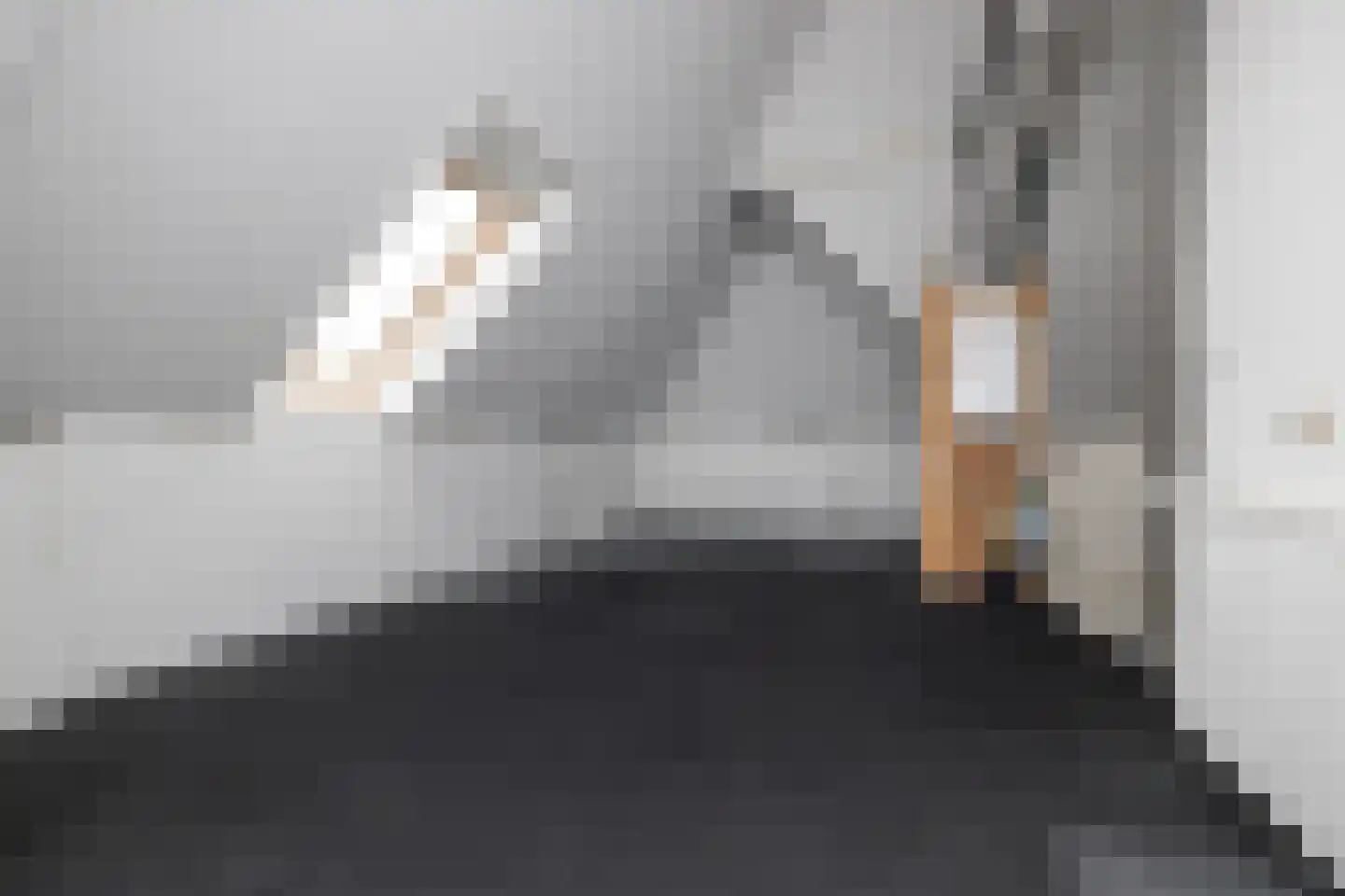 De Zwarte Arend 2 Venhuizen thumbnail 36