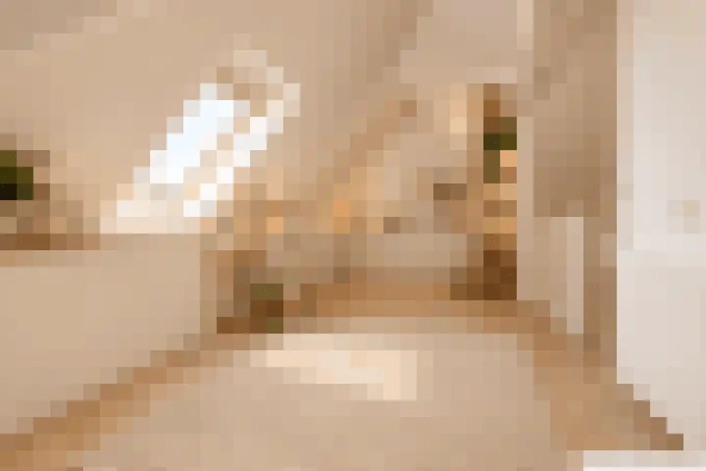 De Zwarte Arend 2 Venhuizen thumbnail 37