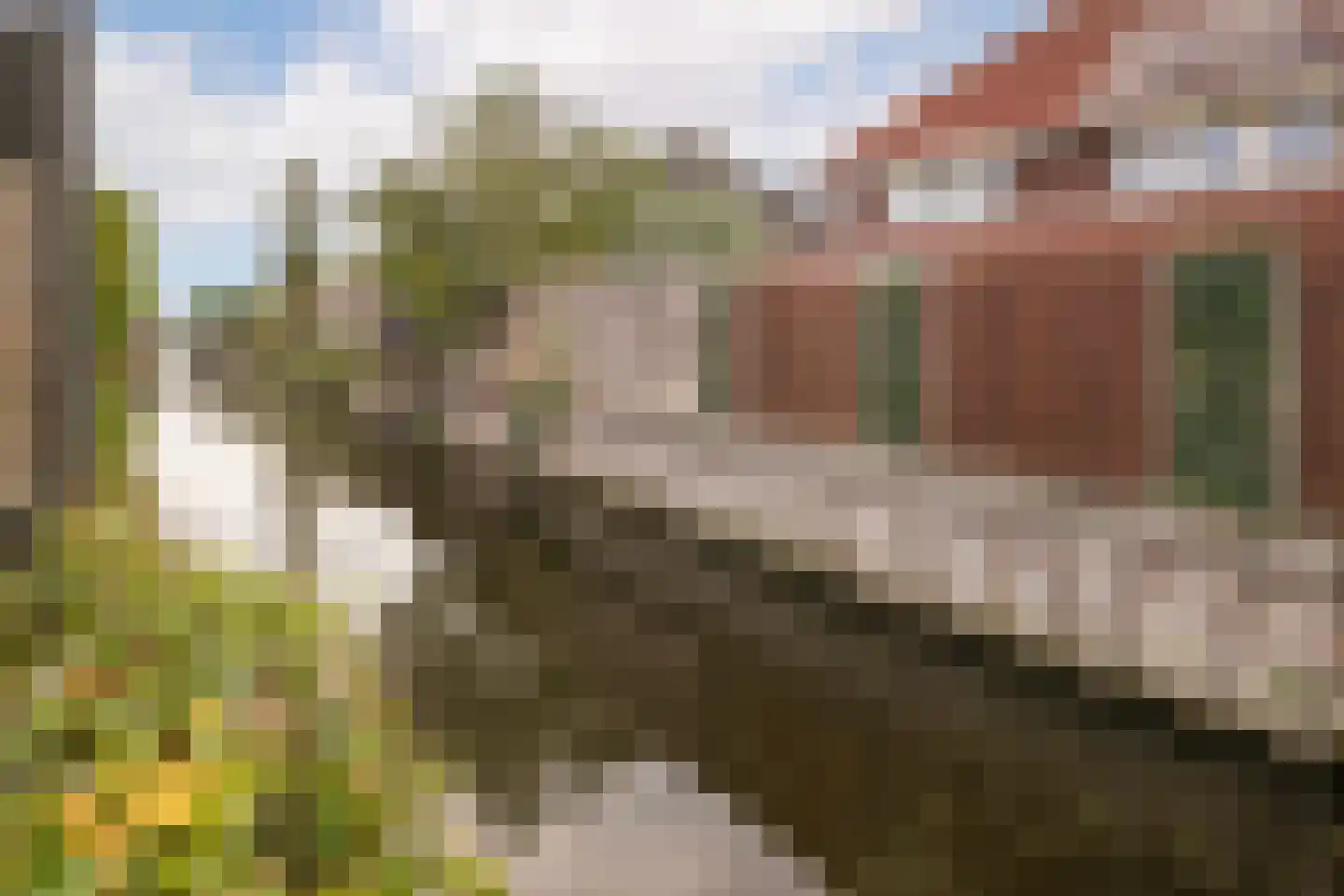 De Zwarte Arend 2 Venhuizen thumbnail 43