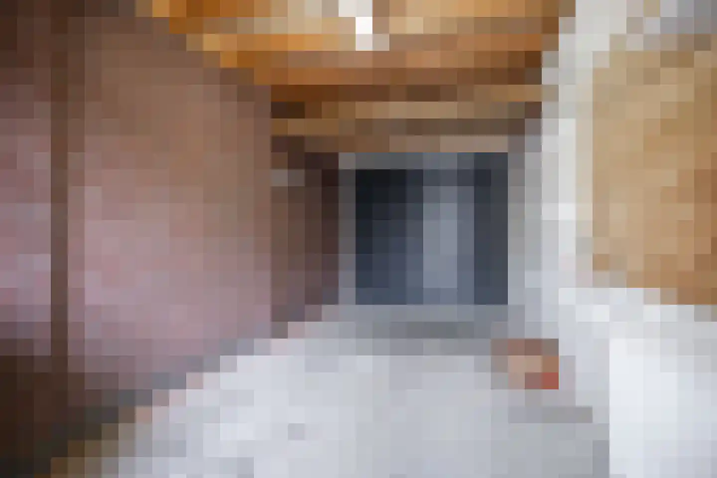 De Zwarte Arend 2 Venhuizen thumbnail 7