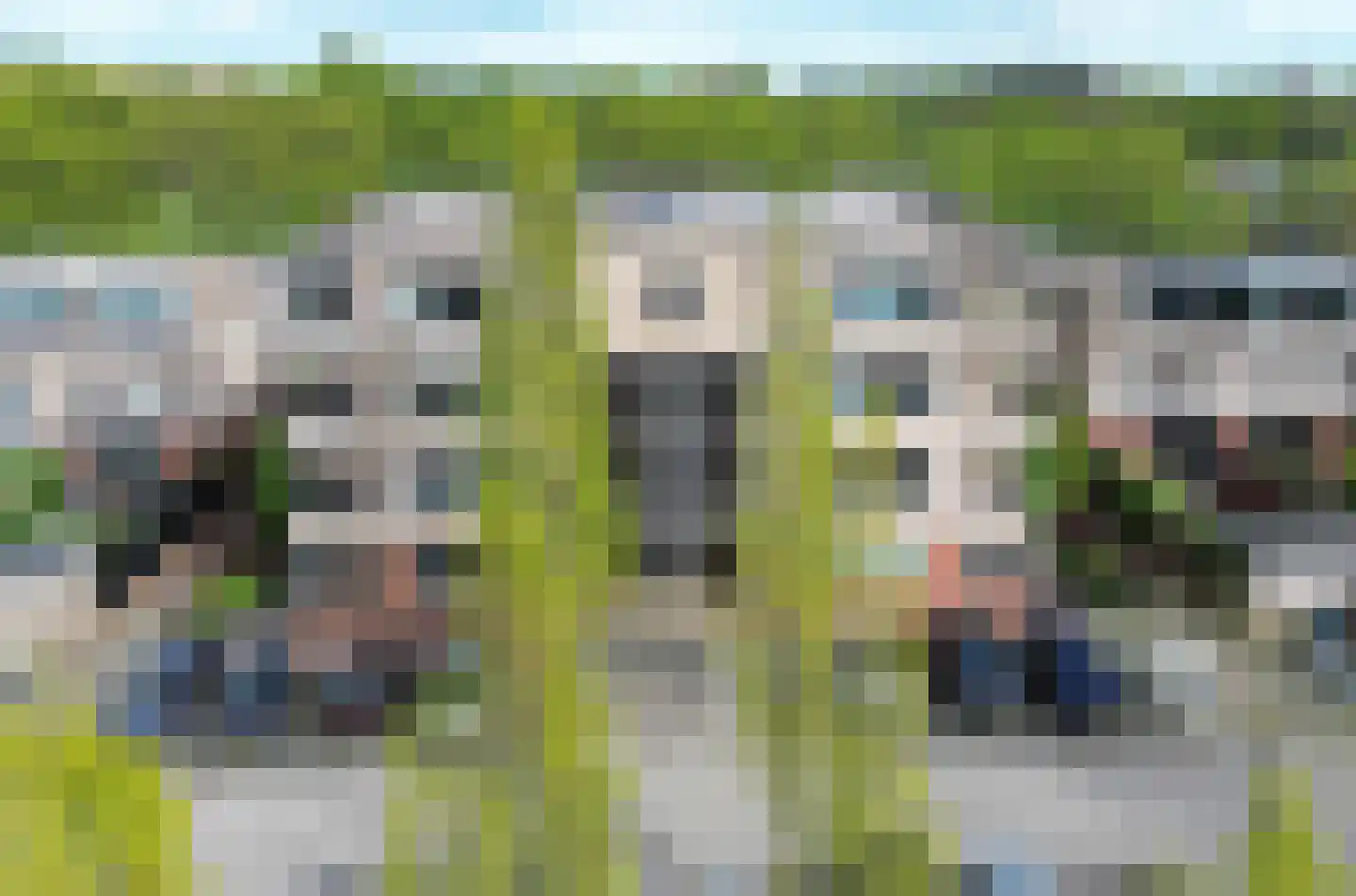 De Zwarte Ruiter 2 Amersfoort thumbnail 17