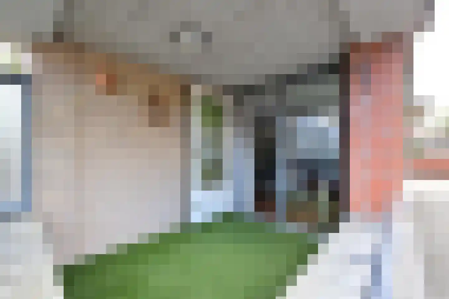 De Zwarte Ruiter 2 Amersfoort thumbnail 4
