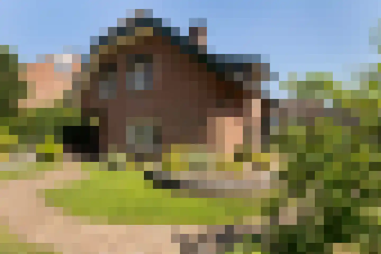 De Zweep 47 Klarenbeek thumbnail 10